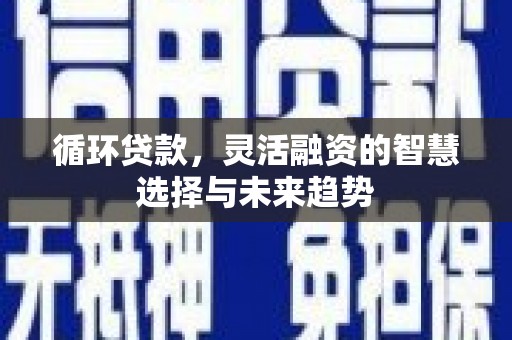 华龙循环贷款，灵活融资的智慧选择与未来趋势