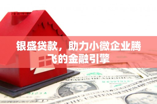 华龙银盛贷款，助力小微企业腾飞的金融引擎