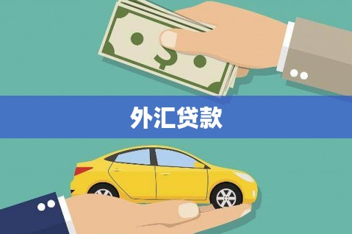 华龙外汇贷款