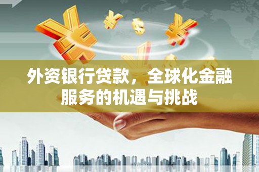 华龙外资银行贷款，全球化金融服务的机遇与挑战