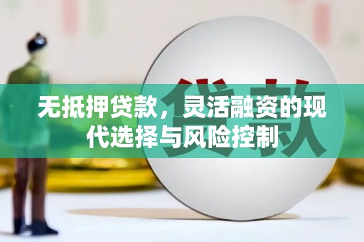 华龙无抵押贷款，灵活融资的现代选择与风险控制