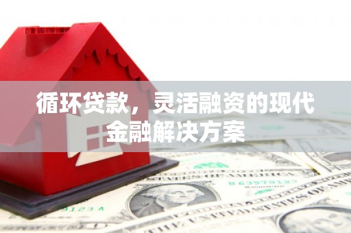 华龙循环贷款，灵活融资的现代金融解决方案
