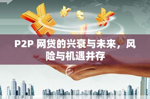华龙P2P 网贷的兴衰与未来，风险与机遇并存