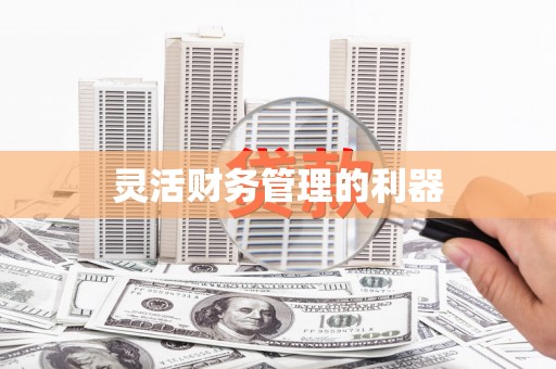 华龙灵活财务管理的利器