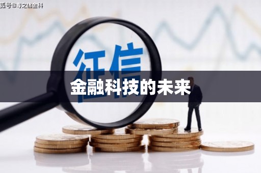 华龙金融科技的未来