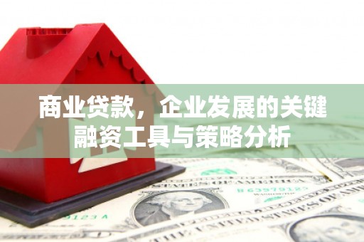 华龙商业贷款，企业发展的关键融资工具与策略分析