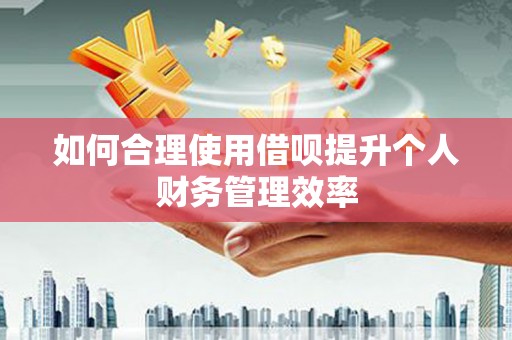 华龙如何合理使用借呗提升个人财务管理效率