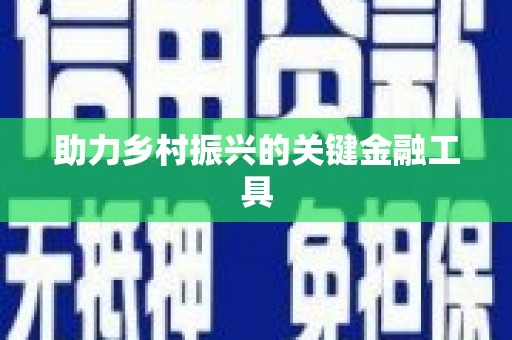 华龙助力乡村振兴的关键金融工具