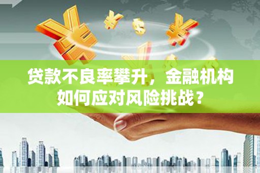 华龙贷款不良率攀升，金融机构如何应对风险挑战？