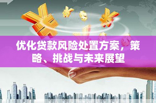 华龙优化贷款风险处置方案，策略、挑战与未来展望