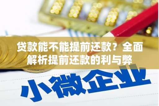 华龙贷款能不能提前还款？全面解析提前还款的利与弊