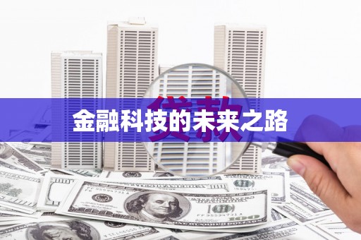 华龙金融科技的未来之路