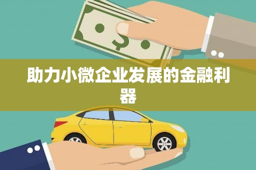 华龙助力小微企业发展的金融利器