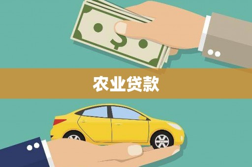 华龙农业贷款