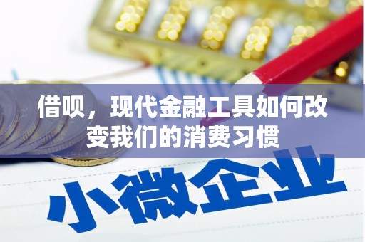 华龙借呗，现代金融工具如何改变我们的消费习惯
