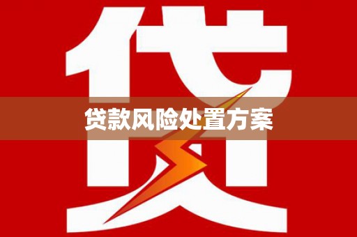 华龙贷款风险处置方案