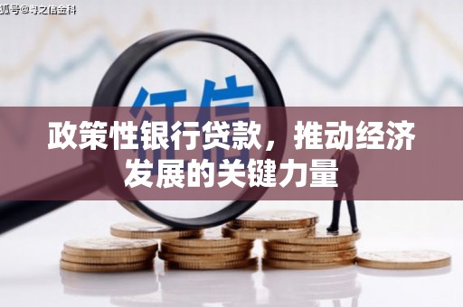 华龙政策性银行贷款，推动经济发展的关键力量