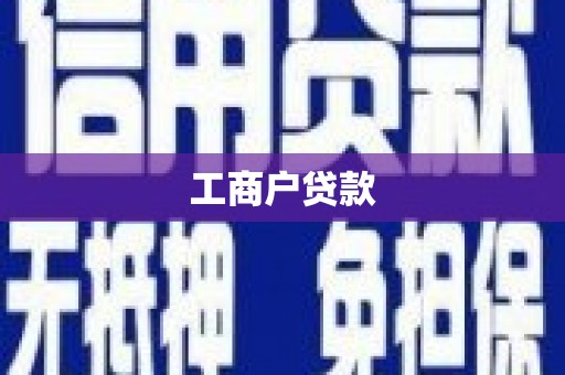 华龙工商户贷款