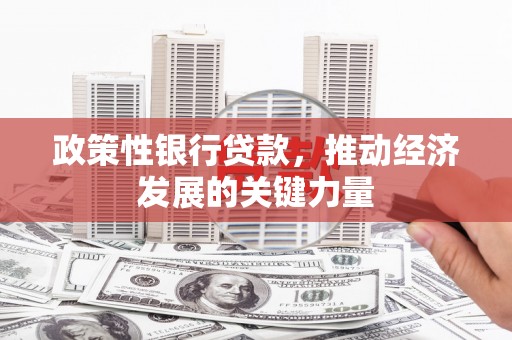 华龙政策性银行贷款，推动经济发展的关键力量