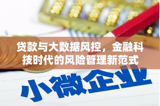 华龙贷款与大数据风控，金融科技时代的风险管理新范式