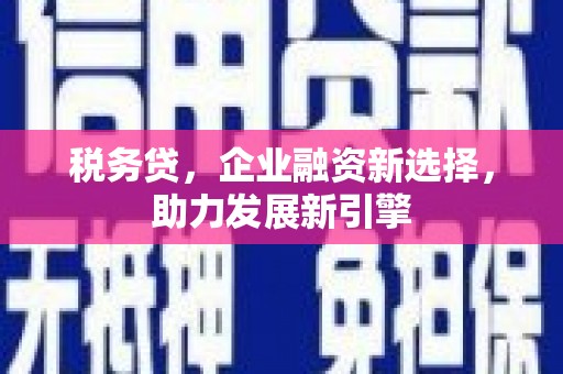 华龙税务贷，企业融资新选择，助力发展新引擎
