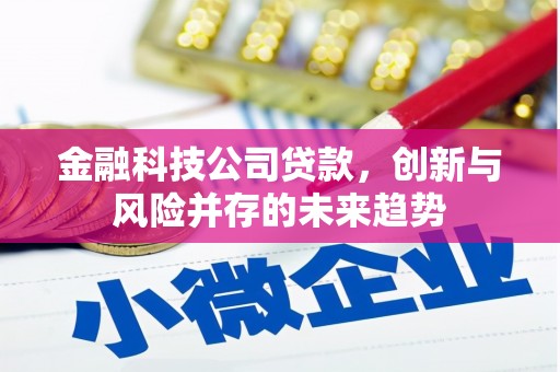 华龙金融科技公司贷款，创新与风险并存的未来趋势