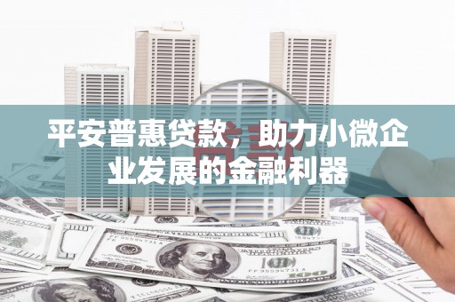 华龙平安普惠贷款，助力小微企业发展的金融利器