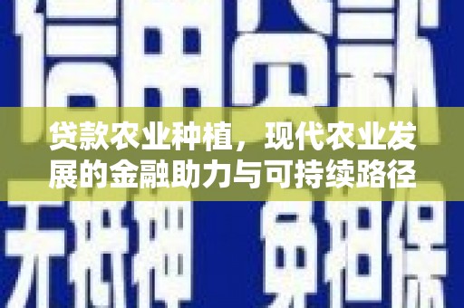 华龙贷款农业种植，现代农业发展的金融助力与可持续路径