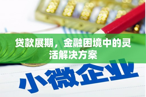 华龙贷款展期，金融困境中的灵活解决方案