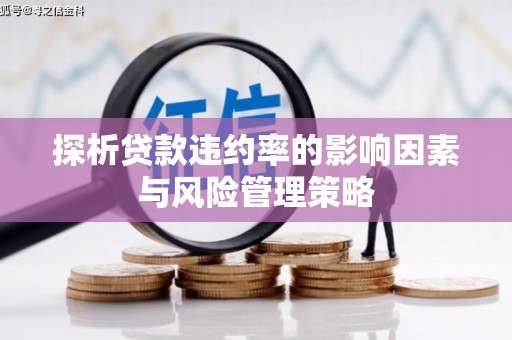 华龙探析贷款违约率的影响因素与风险管理策略