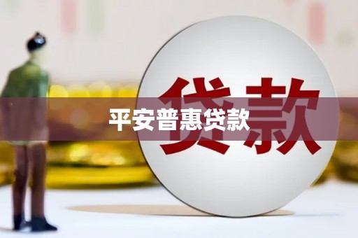 华龙平安普惠贷款