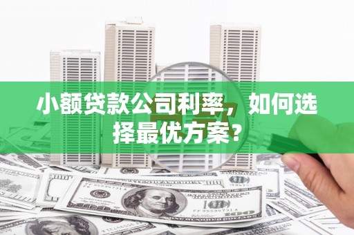 华龙小额贷款公司利率，如何选择最优方案？