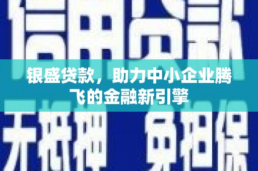 华龙银盛贷款，助力中小企业腾飞的金融新引擎