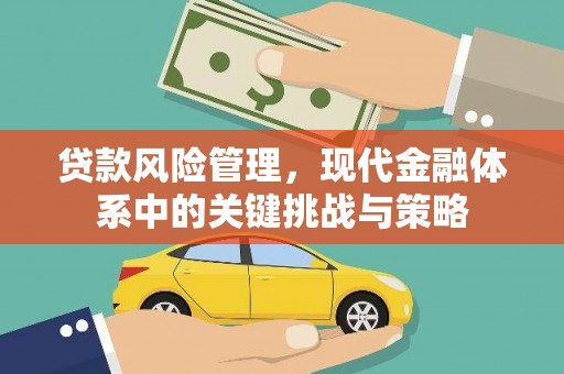 华龙贷款风险管理，现代金融体系中的关键挑战与策略