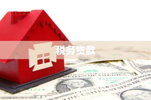 华龙税务贷款