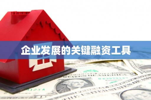 华龙企业发展的关键融资工具