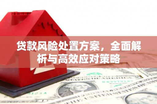 华龙贷款风险处置方案，全面解析与高效应对策略