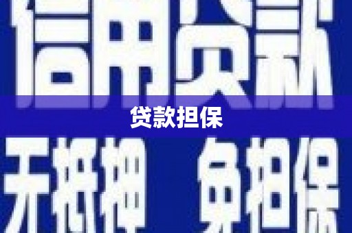华龙贷款担保