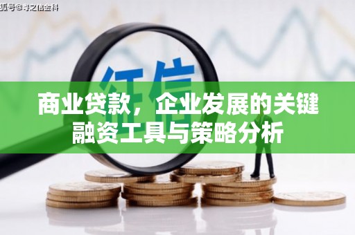 华龙商业贷款，企业发展的关键融资工具与策略分析