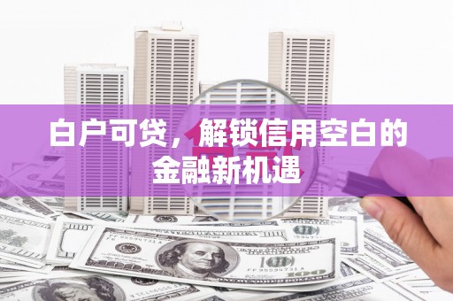 华龙白户可贷，解锁信用空白的金融新机遇