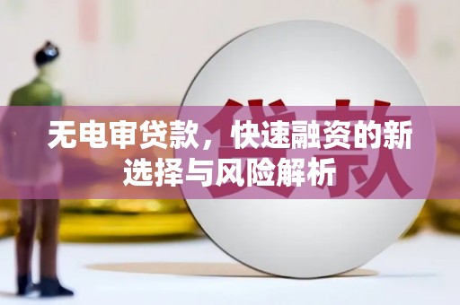 华龙无电审贷款，快速融资的新选择与风险解析