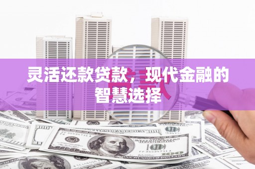 华龙灵活还款贷款，现代金融的智慧选择