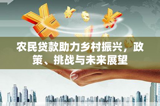 华龙农民贷款助力乡村振兴，政策、挑战与未来展望