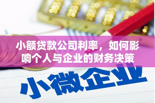 华龙小额贷款公司利率，如何影响个人与企业的财务决策