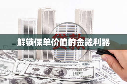 华龙解锁保单价值的金融利器