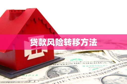 华龙贷款风险转移方法