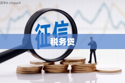 华龙税务贷