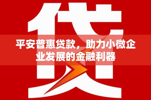 华龙平安普惠贷款，助力小微企业发展的金融利器