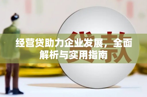华龙经营贷助力企业发展，全面解析与实用指南