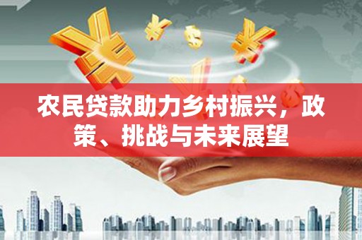 华龙农民贷款助力乡村振兴，政策、挑战与未来展望